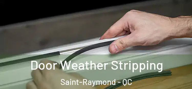 Door Weather Stripping Saint-Raymond - QC