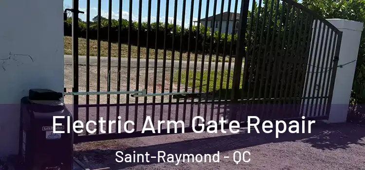  Electric Arm Gate Repair Saint-Raymond - QC