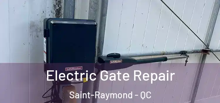 Electric Gate Repair Saint-Raymond - QC
