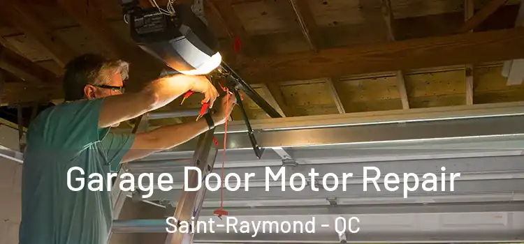  Garage Door Motor Repair Saint-Raymond - QC