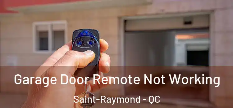  Garage Door Remote Not Working Saint-Raymond - QC