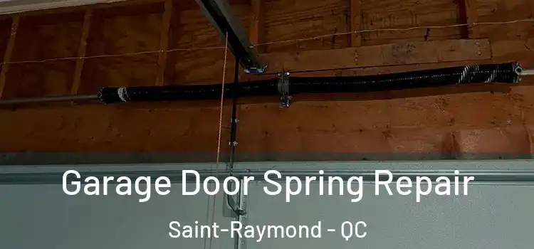  Garage Door Spring Repair Saint-Raymond - QC