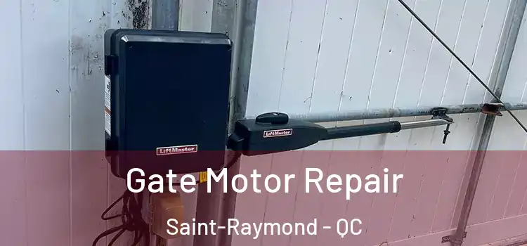 Gate Motor Repair Saint-Raymond - QC