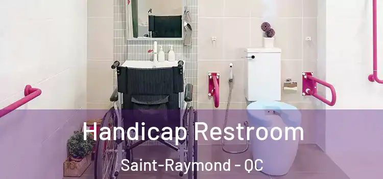 Handicap Restroom Saint-Raymond - QC