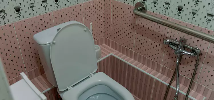 Meeting Diverse Needs With Accessible Restroom Solutions in Saint-Raymond, QC