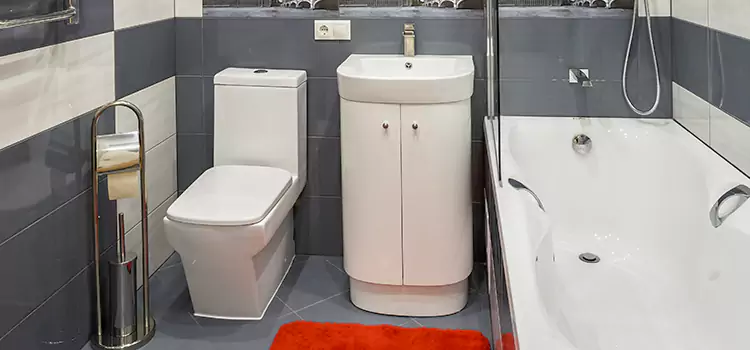 Hansgrohe Shaving Mirror Saint-Raymond